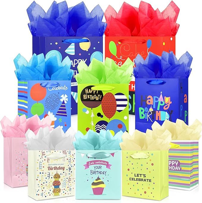 10 Pack Birthday Gift Bag with Ribbon Handle and Tissue Paper Assorted Sizes and Designs 3 Size Birthday Gift Bag for Gift Wrapping Presents