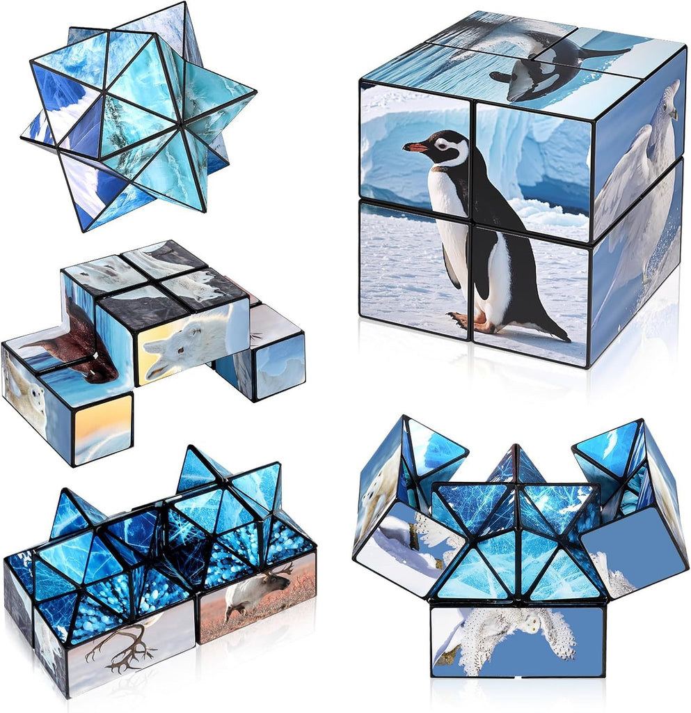 2 in 1 Magic Cube Set, Fidget Toy for Kids Adults
