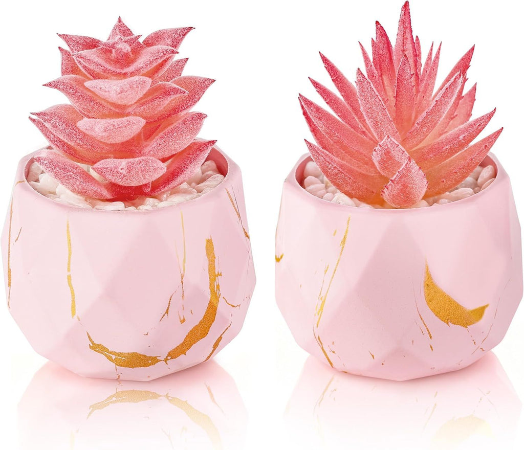 2 Packs Fake Plants Small Succulents Plants Artificial for Pink Room Bathroom Decor Office Desk Accessories Wedding Gifts for Women