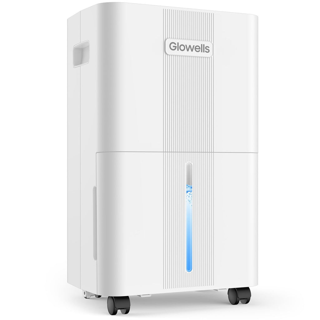 21 pt. 1600 sq. ft. Dehumidifier in. White with Bucket and Drain Hose for Basement, Garage and Damp Rooms