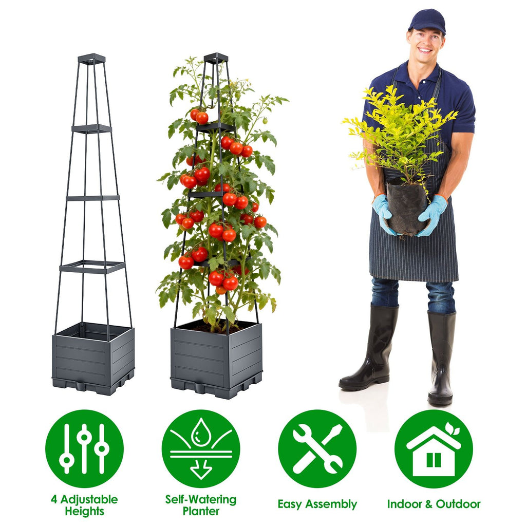 2Pack Raised Garden Bed Boxes with Trellis 56" Tomato Self-Watering Planter Box Indoor Outdoor with 4 Adjustable Heights 10 Clips 65FT Ties for Climbing Vegetables Flowers Vines