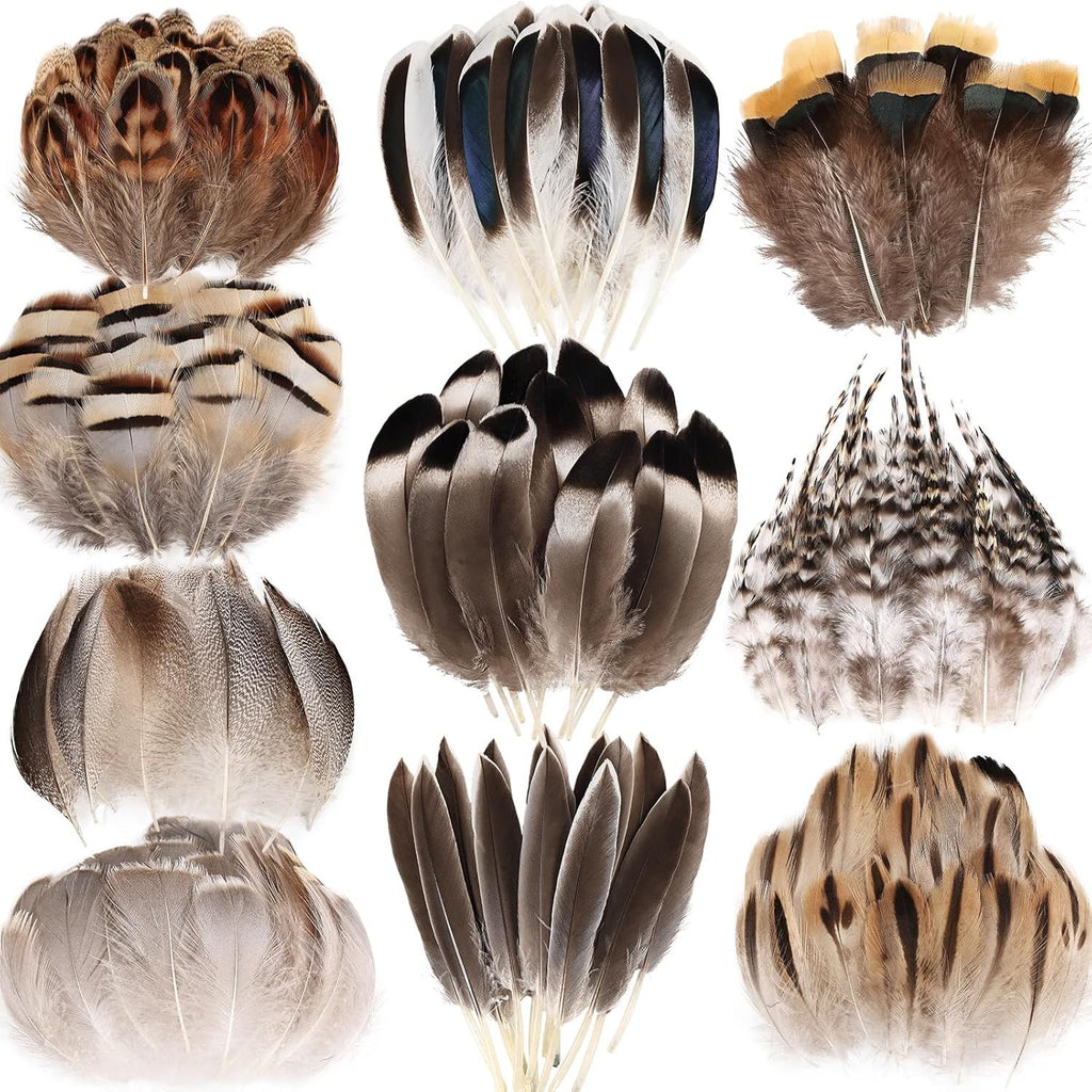 300pcs Natural Feathers Small 4 Styles Bulk for DIY Crafts Hat Wedding Home Party Decoration Feathers