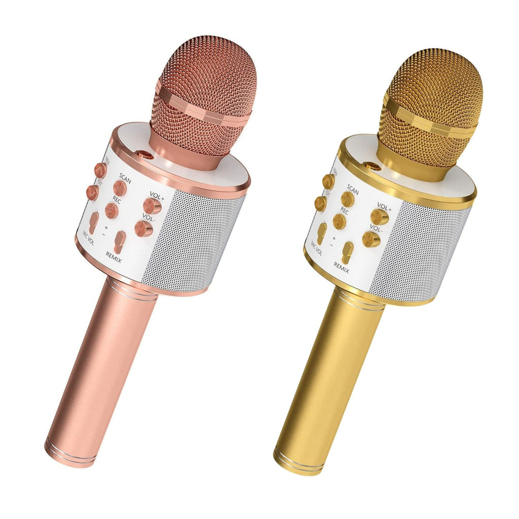 5 Core Microphone Wireless Karaoke Mic With Speaker 3 in 1 Portable Bluetooth Microfono Inalambrico