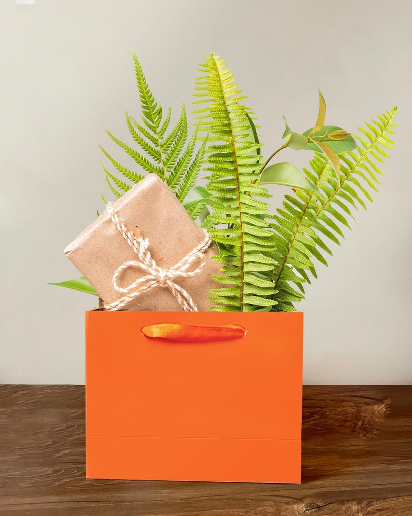 5PCS Bright Orange Gift Bags with Ribbon Handles 9.6"x7.9"x4.3" Medium Size Gift Bags (10PCS Tissue Paper included, Medium Wide)