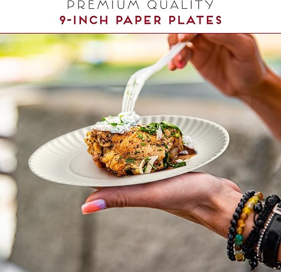 9-Inch Disposable Paper Plates 500 Count Pack of Uncoated Paper Plates for Everyday