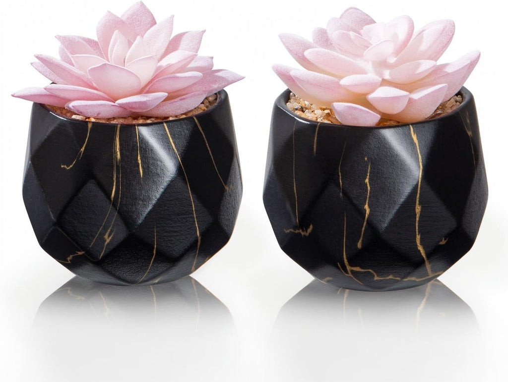 Artificial Succulent Plants in 2 Black Ceramic Pots, Cute Fake Plants for Vanity Decor, Office, Desk, Bathroom, Kitchen, Bedroom, Shelves Decor for Women, Girls Gift