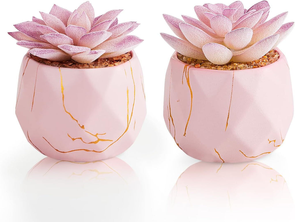 Artificial Succulent Plants in 2 Pink Ceramic Pots, Cute Fake Plants for Vanity Decor,Office, Desk, Bathroom, Kitchen,Bedroom, Shelves Decor for Women,Girls Gift