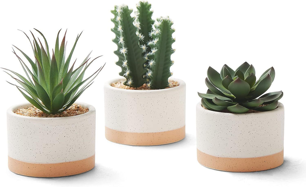 Artificial Succulent Plants in Ceramic Pots, Faux Assorted Succulents Fake Cactus Plants for Home Decor, Bedroom, Office, Desk, Living Room, Set of 3