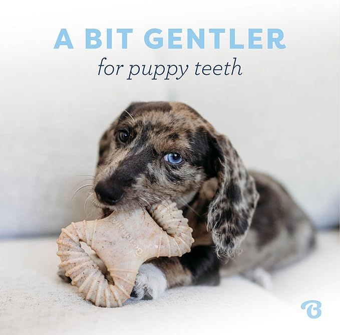 Benebone Puppy 2 Pack Dental Chew Dog Chew