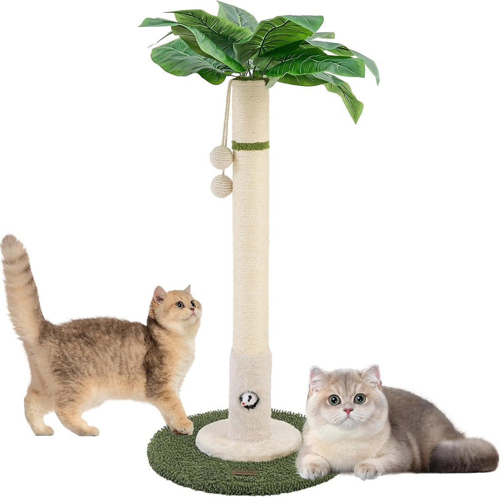 Cat Scratching Post for Indoor Cats and Kitten - 35.43" Tall Cat Scratching Post with Sisal Rope,Palm Tree Cat Scratch Post with Hanging Ball