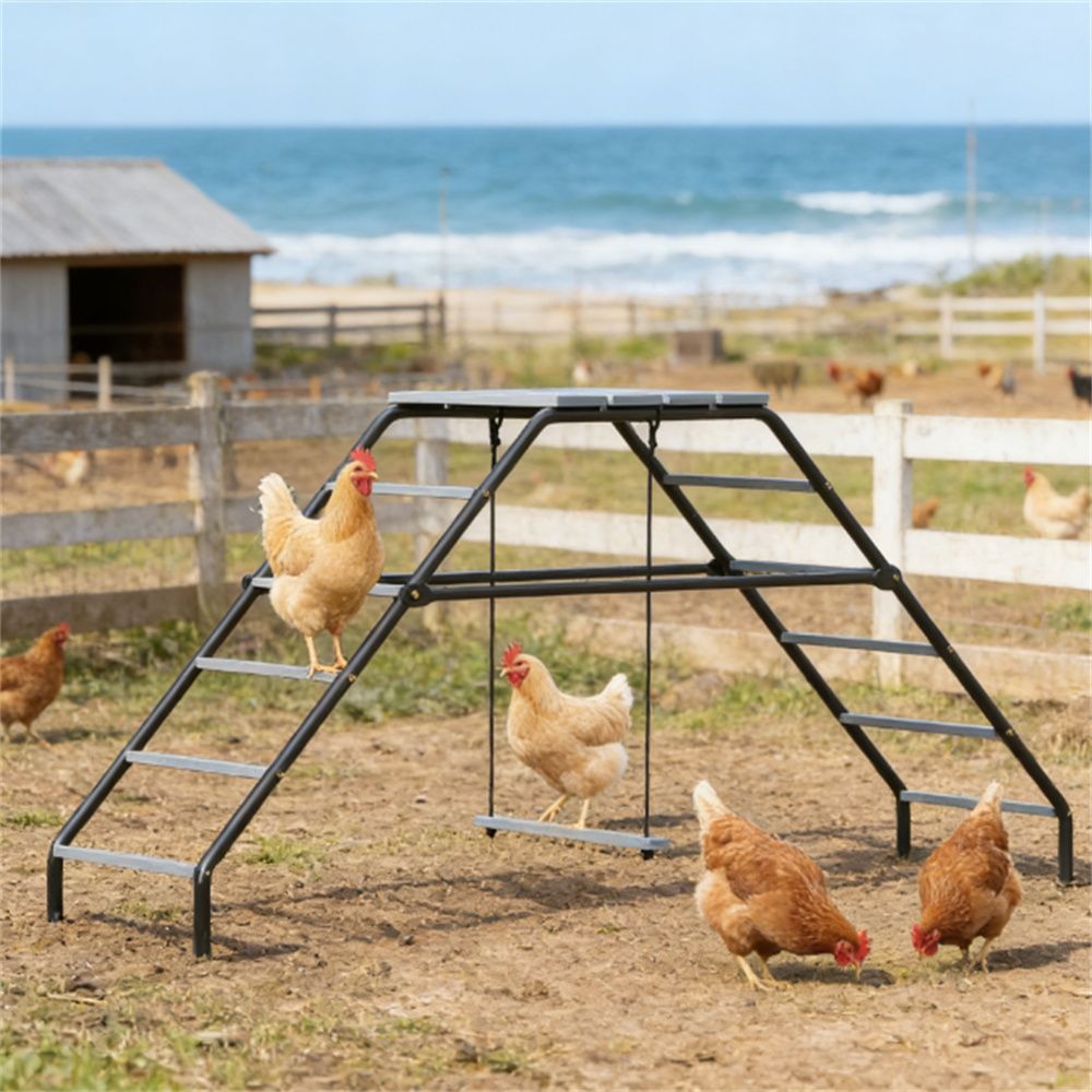 Chicken coop, used for backyard and farm