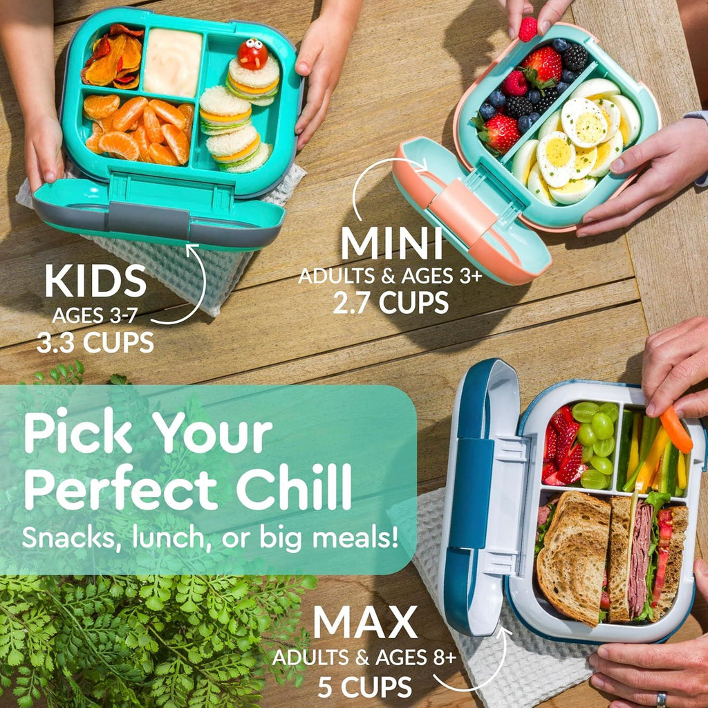 Chill Kids Leak-Proof Lunch Box - 4-Compartment Bento Box with Built-In Ice Pack, 3.3 Cup Capacity, PFAS & BPA-Free, Microwave & Dishwasher Safe, Ideal Size for Ages 3 to 7