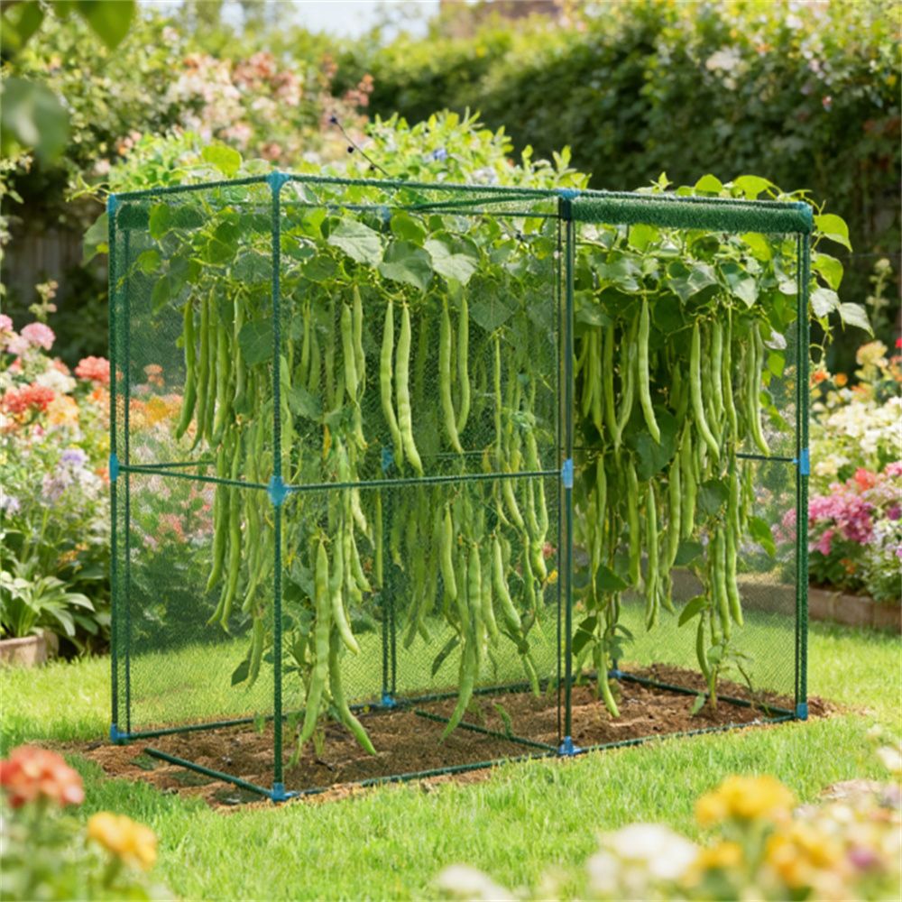 Crop cage, garden cage, green