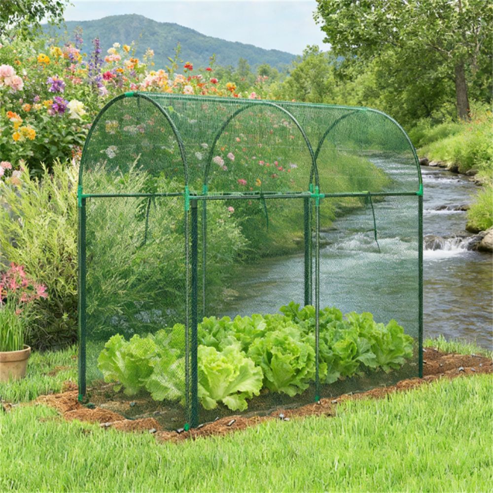 Crop cage, plant cage, garden cage, green
