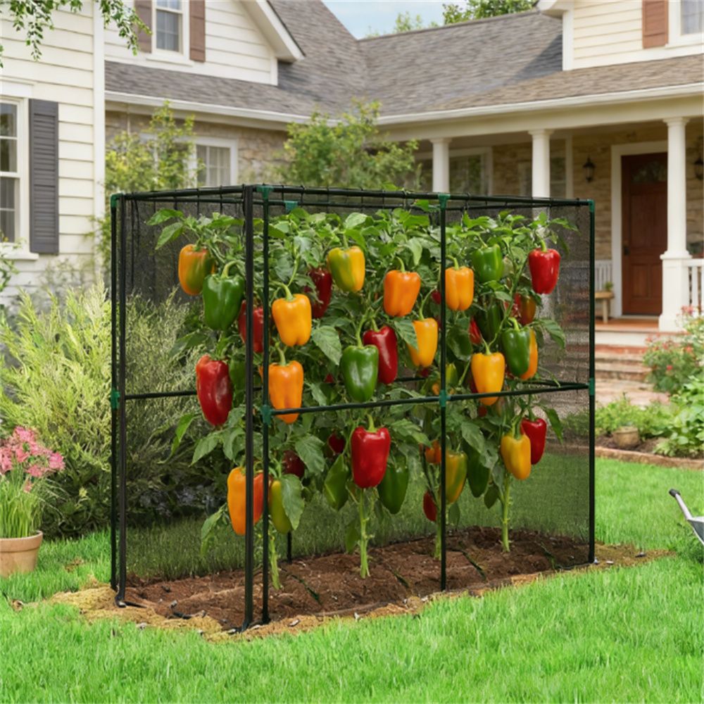 Crop cage, plant protection tent, suitable for planting fruits, vegetables and flowers, black