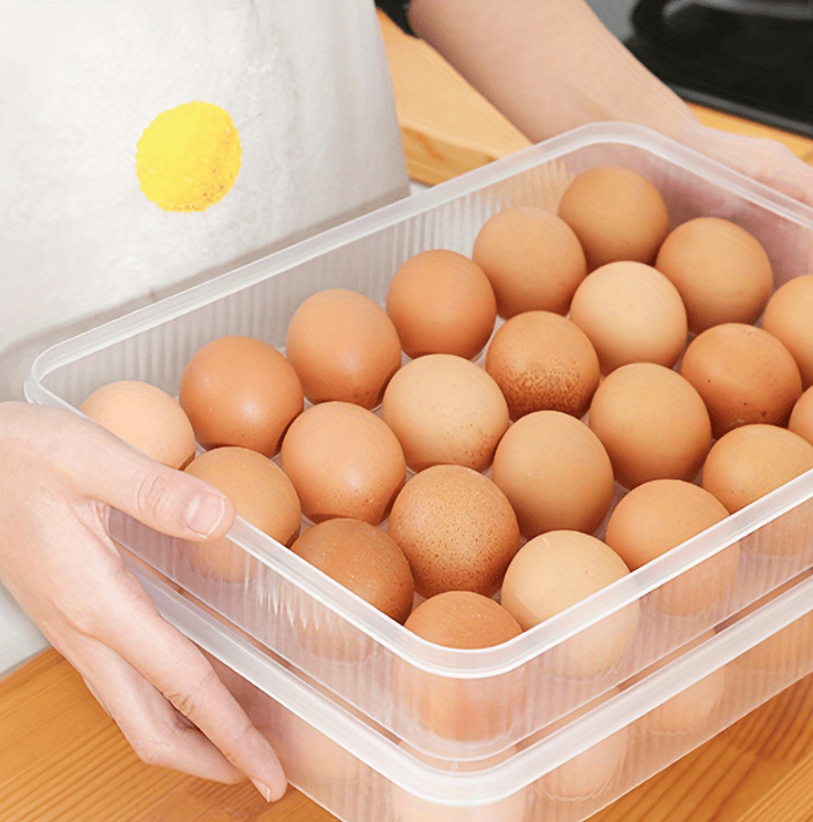 Deviled Egg Containers with Lid, (Set of 2),Stackable Plastic Egg Holder for 48 Eggs,Clear Egg Storage Holder for Fridge,Keep Fresh,Easter,Thanksgiving Party Kitchen Supplies