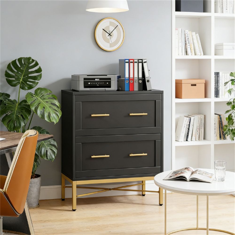 Double drawer filing cabinet, storage cabinet, printer stand, living room cabinet