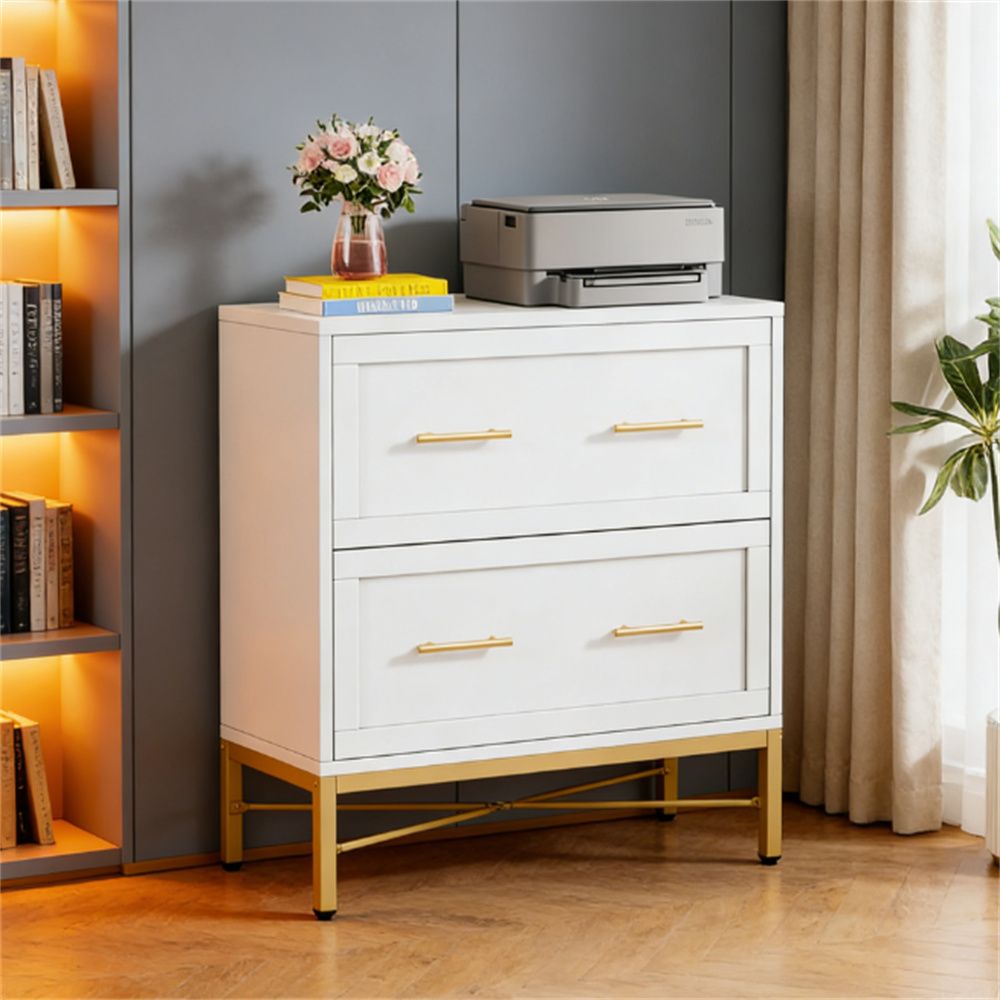 Double drawer filming cabinet, storage cabinet, printer stand essential for office use