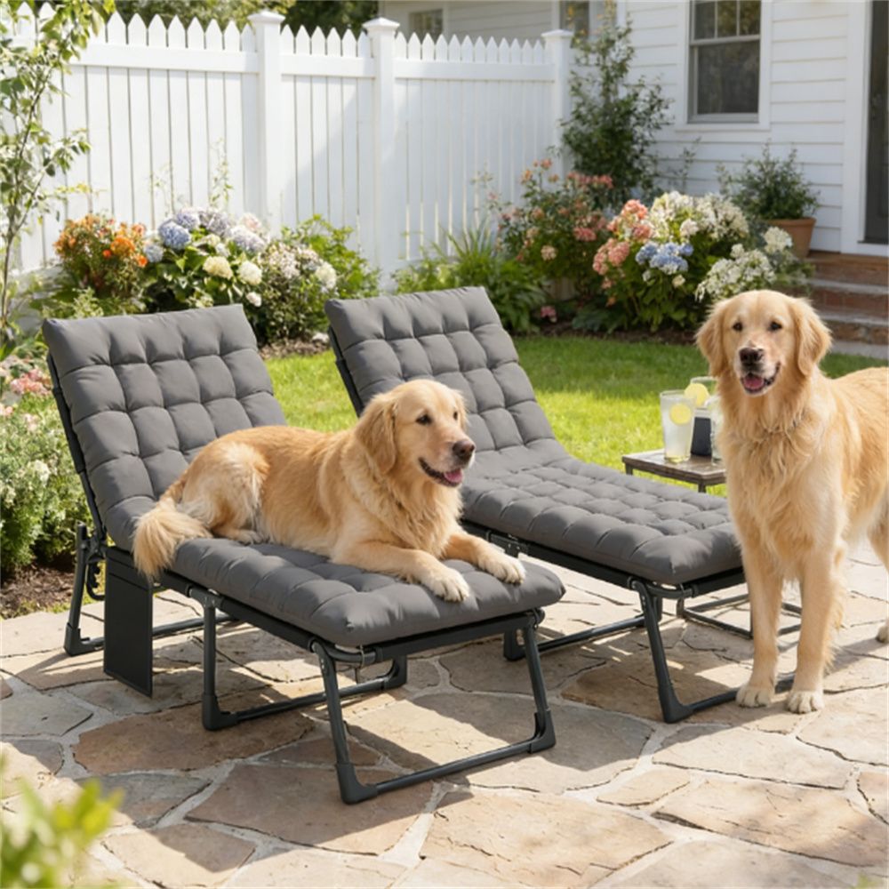 Folding recliner, sun chair, outdoor chair, courtyard chair 2-piece set, dark gray