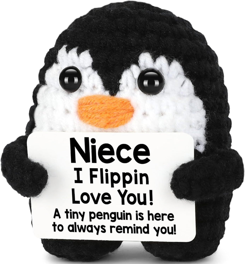 Funny Niece Gifts from Auntie