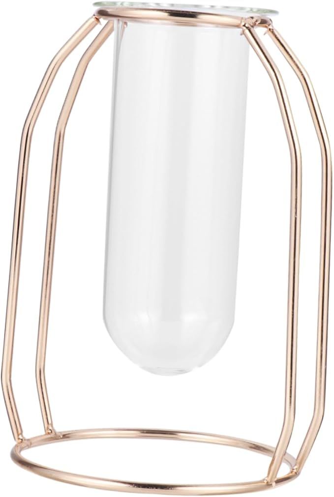 Glass Tube Vase Hydroponics Planter with Metal Frame Creative Flower Planter for Home Office Decor for Tulips Roses and Branches Unique Present Idea