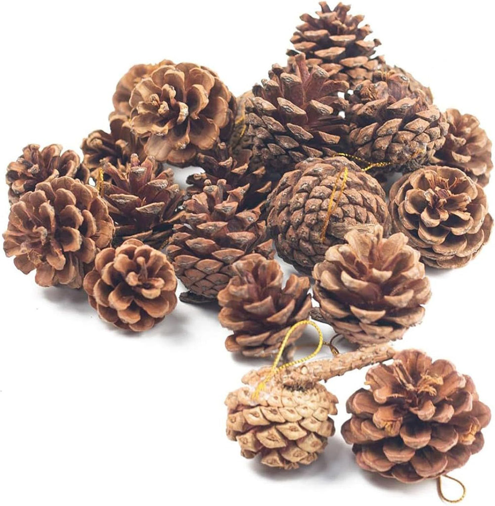 Hanging Natural Pine Cones, Rustic Pinecones Crafts with String Fall Garland Decor Christmas Tree Ornaments Winter Vase Filler