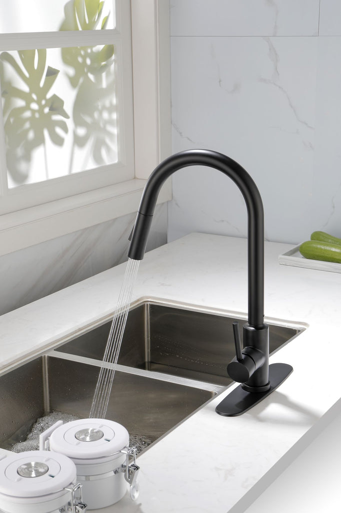 Kitchen Faucet with Pull Down Sprayer