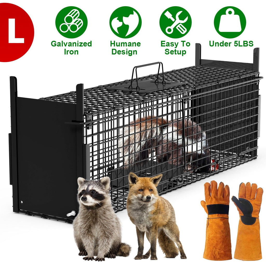 Live Animal Cage Trap For Animals Under Easy To Setup Humane Galvanized Iron Trap Cage For Raccoons Armadillos Groundhogs Muskrats Opossums Skunks