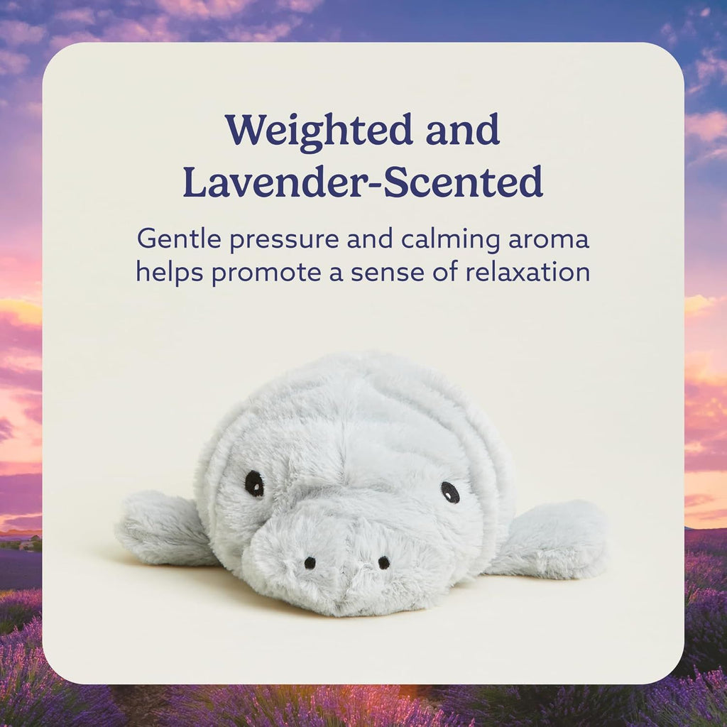 Microwavable & Weighted Stuffed Animals