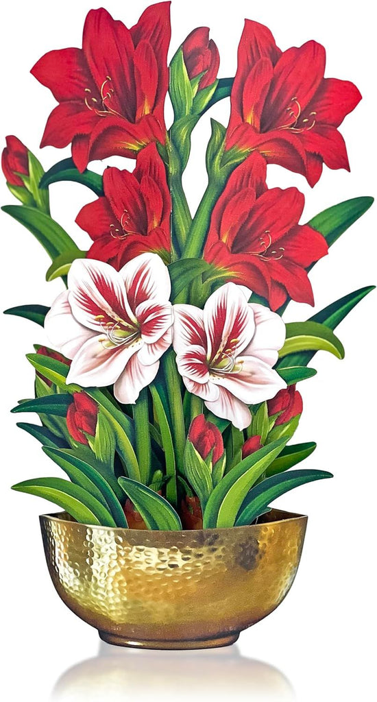 Pop Up Cards, Scarlet Amaryllis, 16 Inch Life Sized Forever Flower Bouquet 3D Popup Greeting Cards, Christmas Card, Holiday Card, Blank Notecard & Envelope