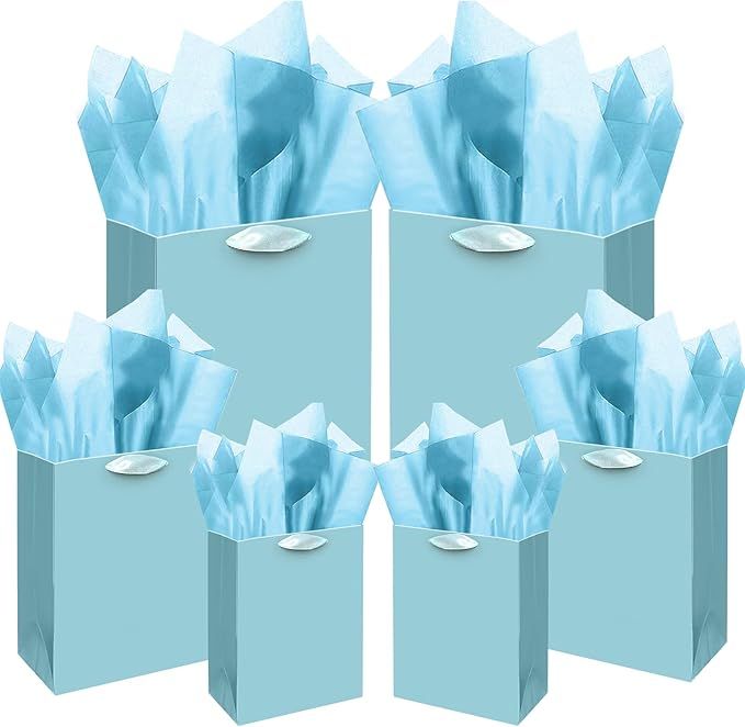 qiqee Lake Blue Gift Bags with Tissue Paper Mulit Assorted Sizes 10PCS Present Party Favor Birthday Bags(2pcs Large 13 4pcs Medium 9 4pcs Small 6" Bags 22pcs Tissue Paper