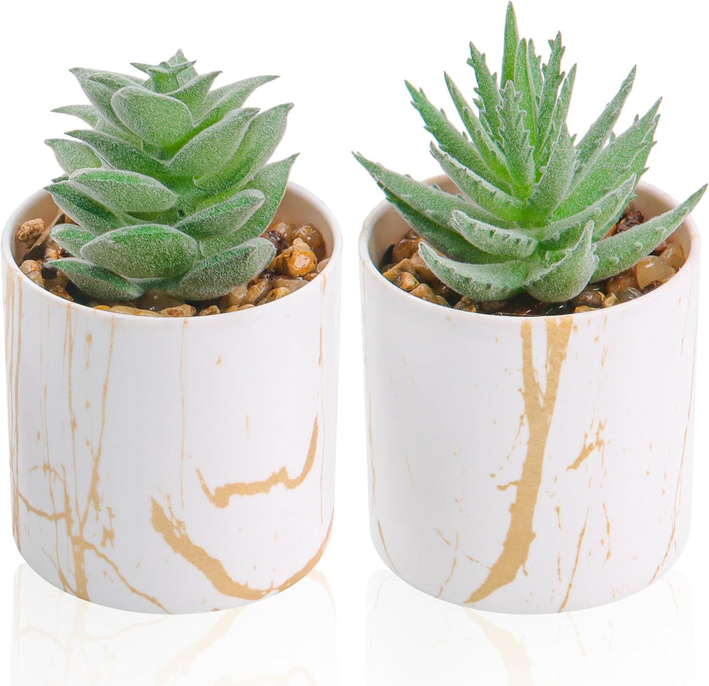 Set of 2 Succulents Plants Artificial Fake Succulents Plants for Home Office Desk Accessories for Women