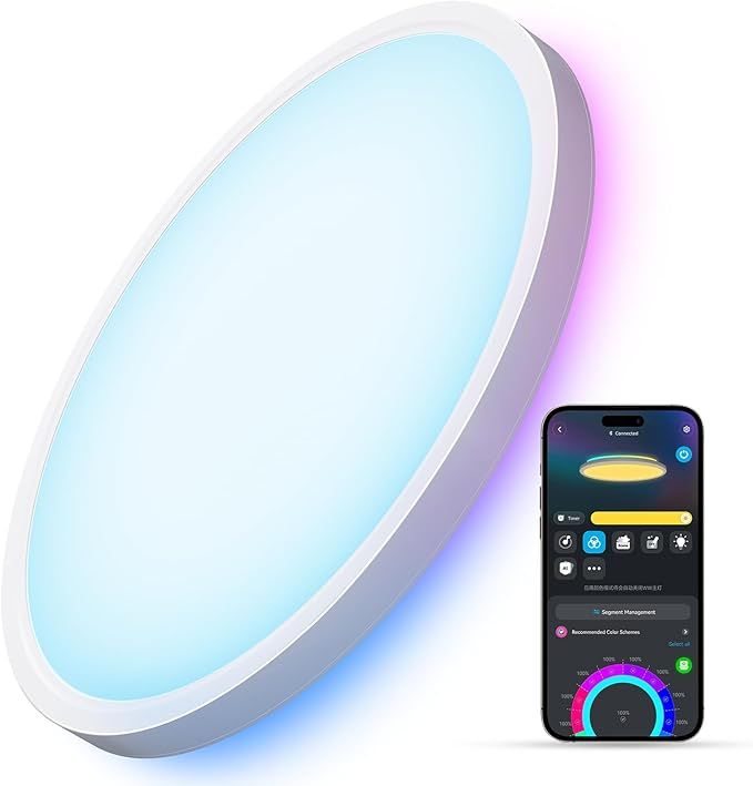 Smart Ceiling Light RGBIC LED Ceiling Light Fixture