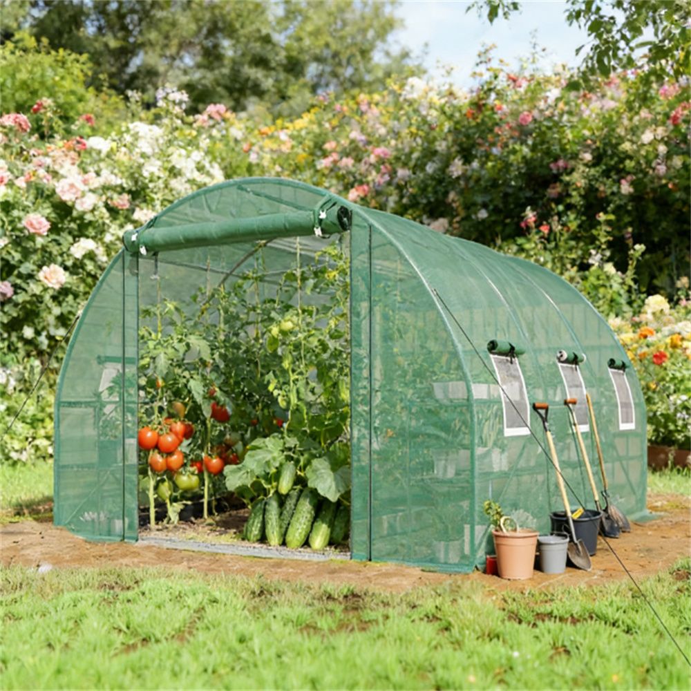 Tunnel greenhouse, greenhouse, planting room, Green