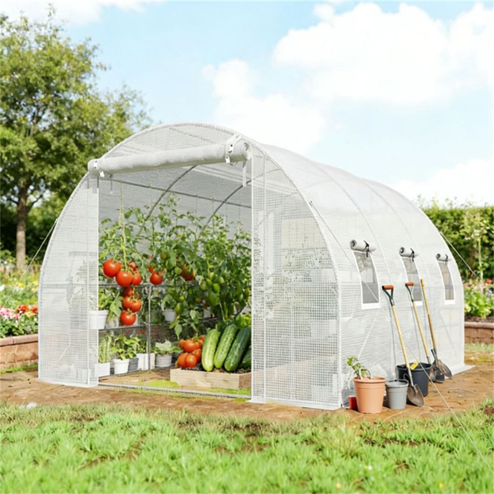 Tunnel greenhouse, greenhouse, planting room, white