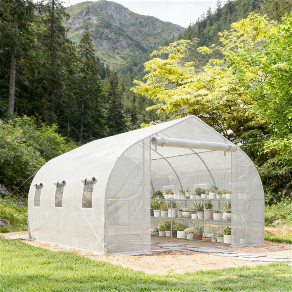 Tunnel greenhouse, plant greenhouse, planting room, white